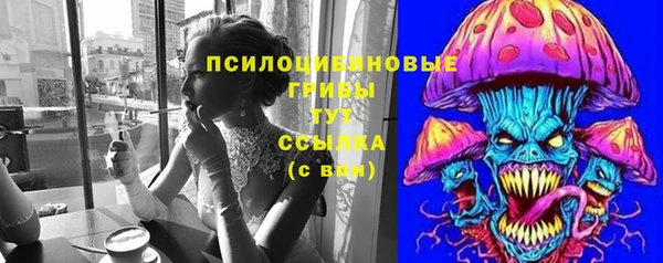 2c-b Новодвинск
